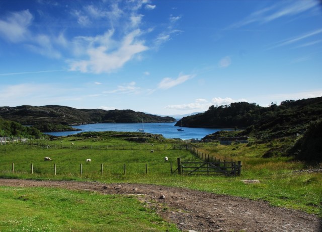 Afternoon Sunshine Big Harbour
