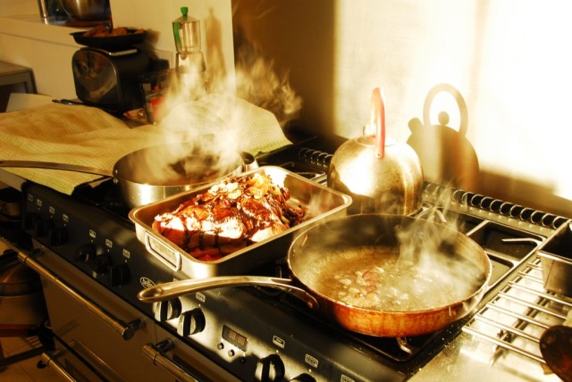 Rona Venison in Full Flow