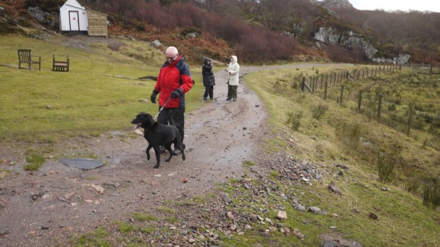 Brian, Gill and Bo Arrive.