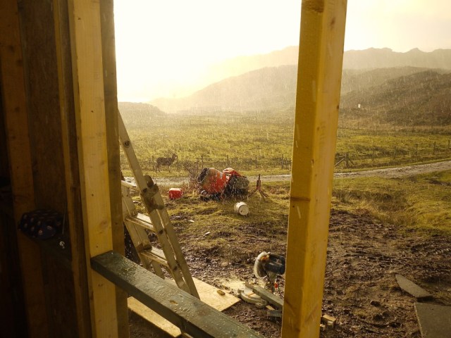 Sheltering from the snow flurry