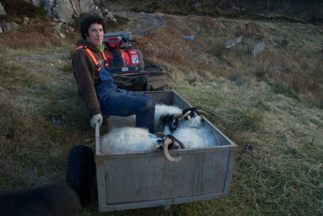 Henry Getting friendly Again