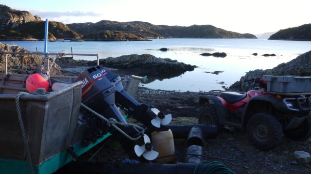 Late Evening Big Harbour