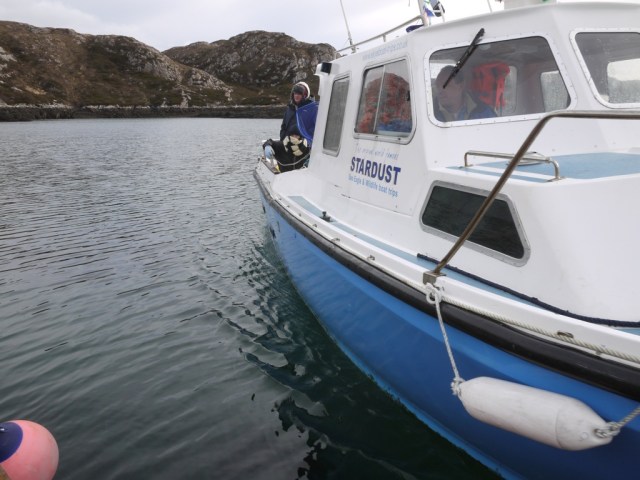 The Missing travellers