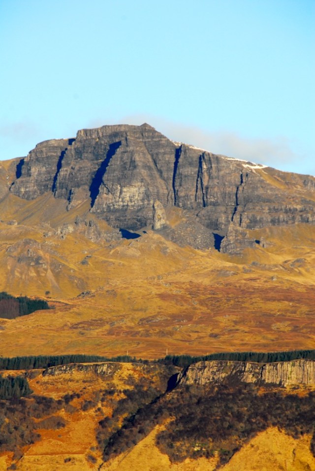 The Old Man in the Morning Sun