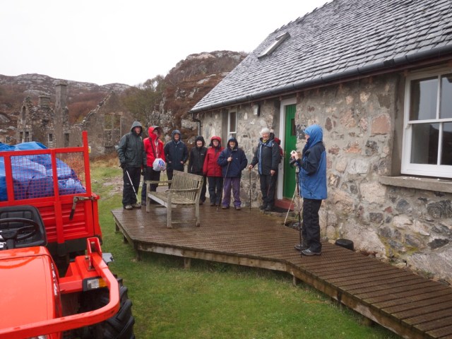 Wendy and Friends enjoy the inclement weather 