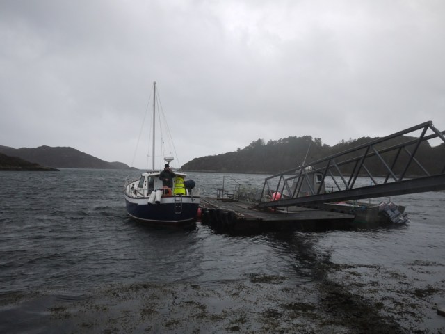 Riding Out The Storm