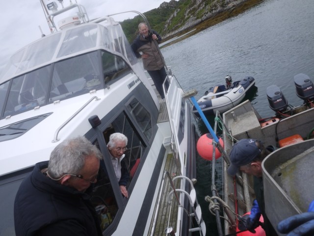 Trying To Free The Puma