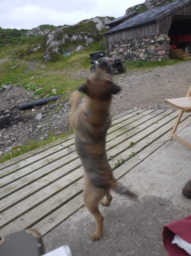 Saturday Night Fever