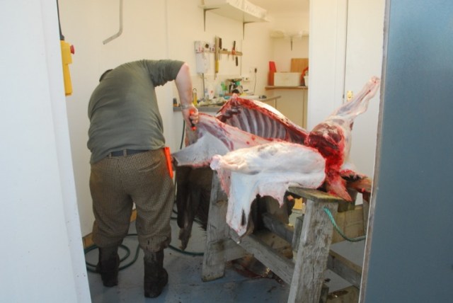 Getting ready for the larder