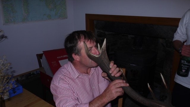 Traditional Viking Cup