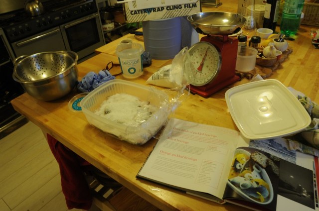 Clearing out the Freezer (Herrings)