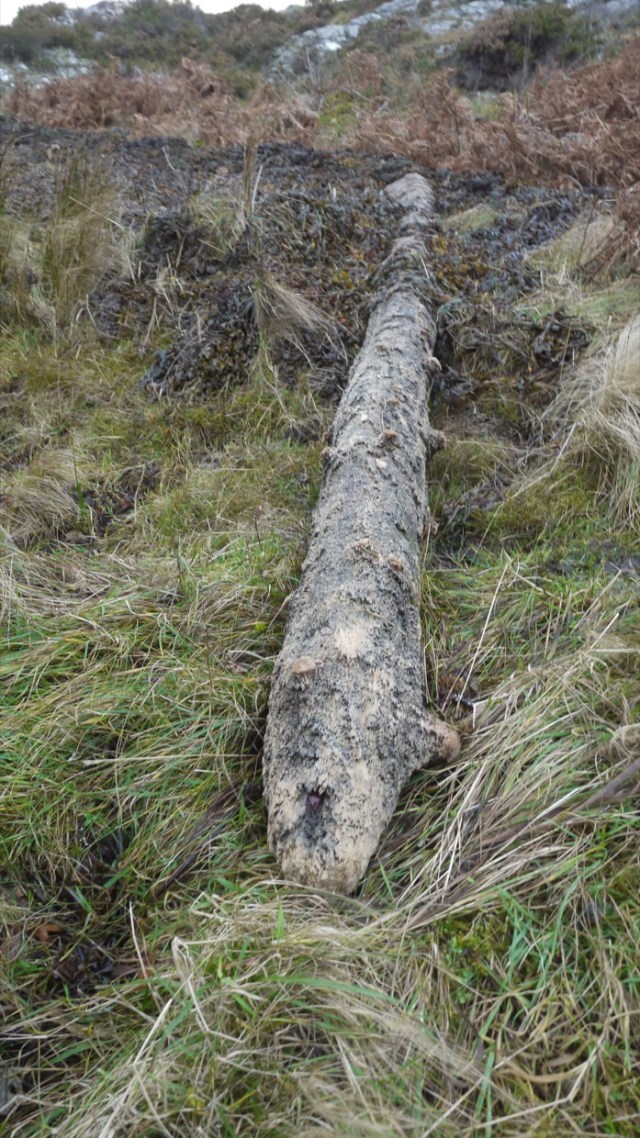 Been To Sea for a While