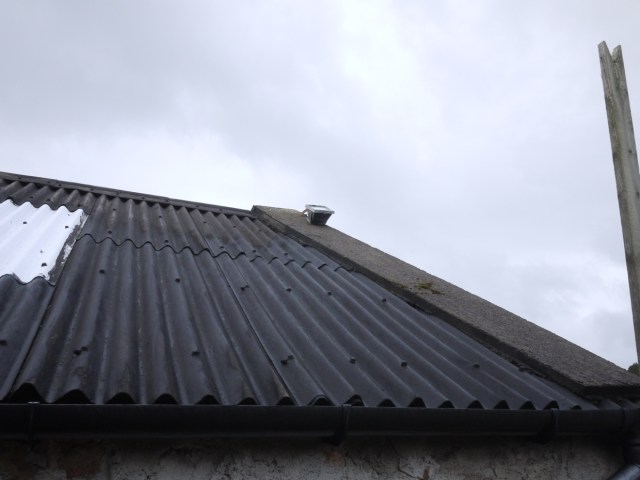 I didn't spot that last week.