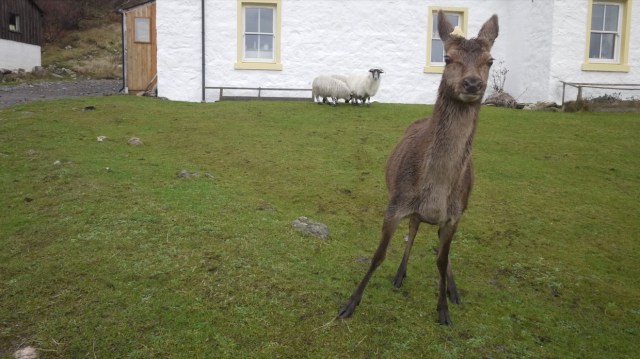 Julie looking over my Shoulder