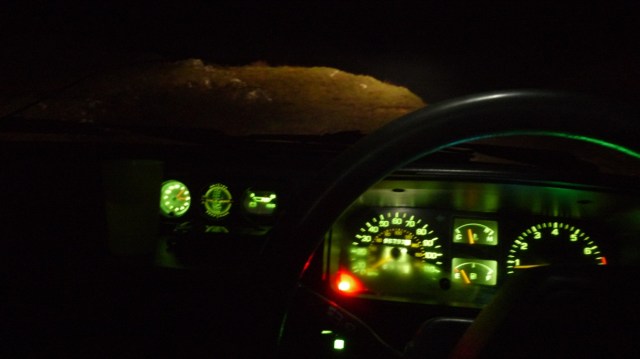 Sitting Tight Up Top.