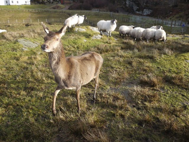 Where's My Breakfast