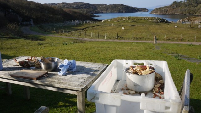 A lot of Picky Work.