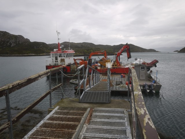 Strapping Down The Plant