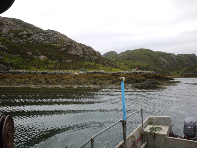 Camping with Midgies