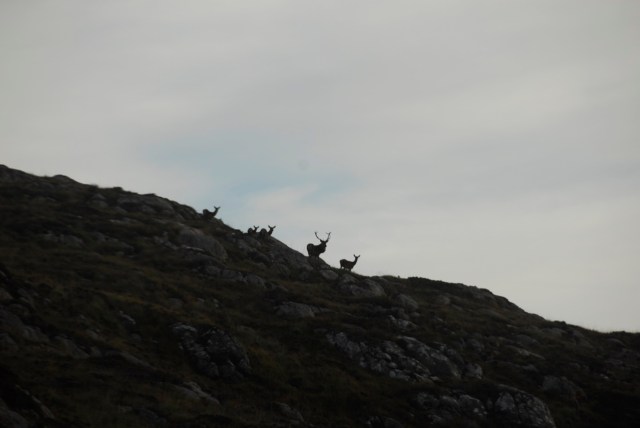 Eric's Mate Skylined