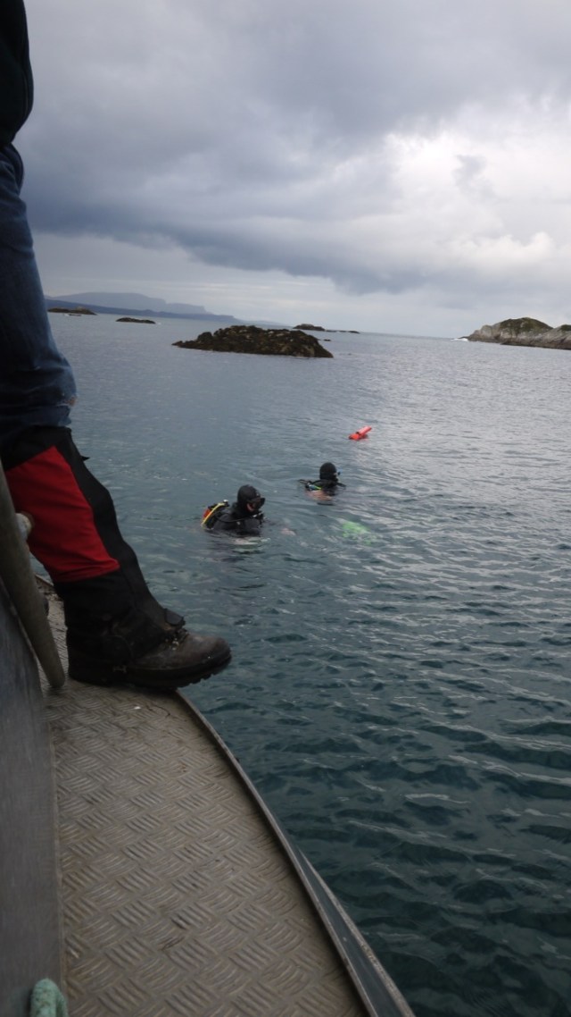 Looks Pretty Cold to me.