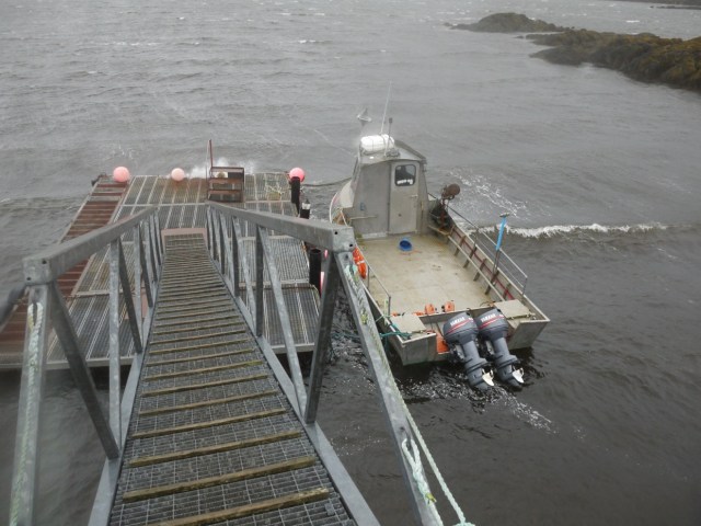 Storm Force Continuing 