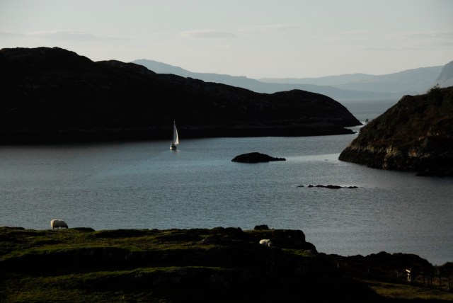 Must Be The Last One