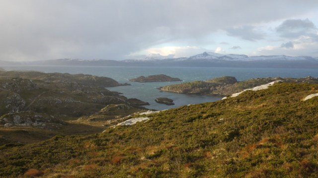 Even in The Gale There Were Good Spells....