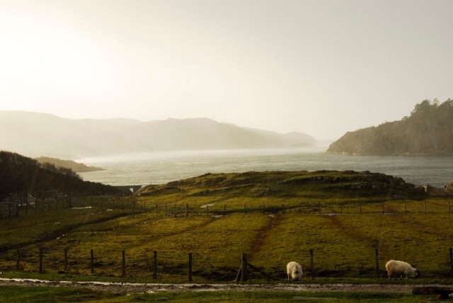Snow and Hail Arriving