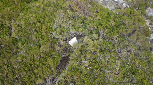 The Windmill Blade 90% in the ground.