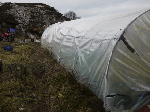 More Tape than Plastic