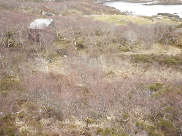 This Will More Than Do