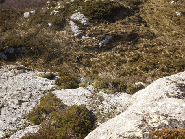 Looking for Linda!!!!