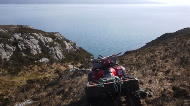 Walkways all Intact.