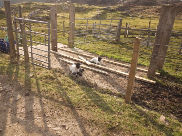 A Little Help From My Friends