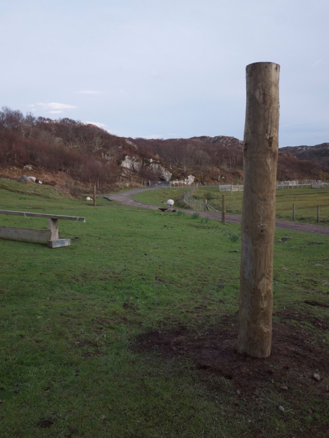 5 Strainer Posts Later