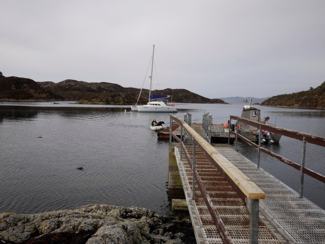 Cat' Orca's Annual Visit