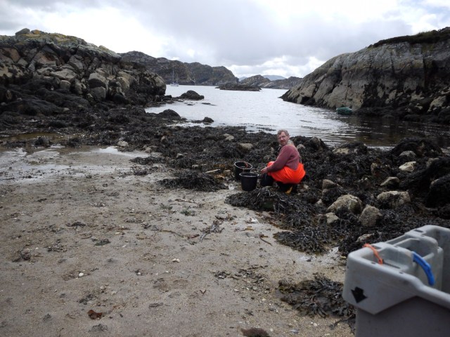 A Hard Day on the Beach