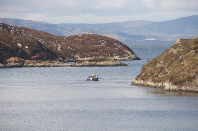 Our Local Friendly Fisherman 'Yogi'