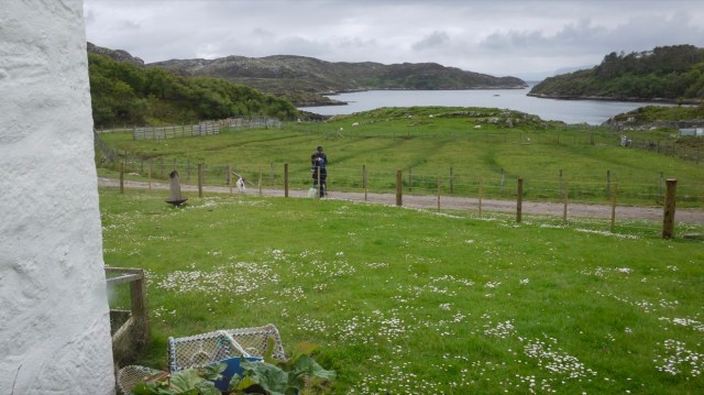 Wifi/Phone signals Galore.