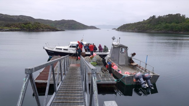 Unloading 11 Walkers, Lunchtime.