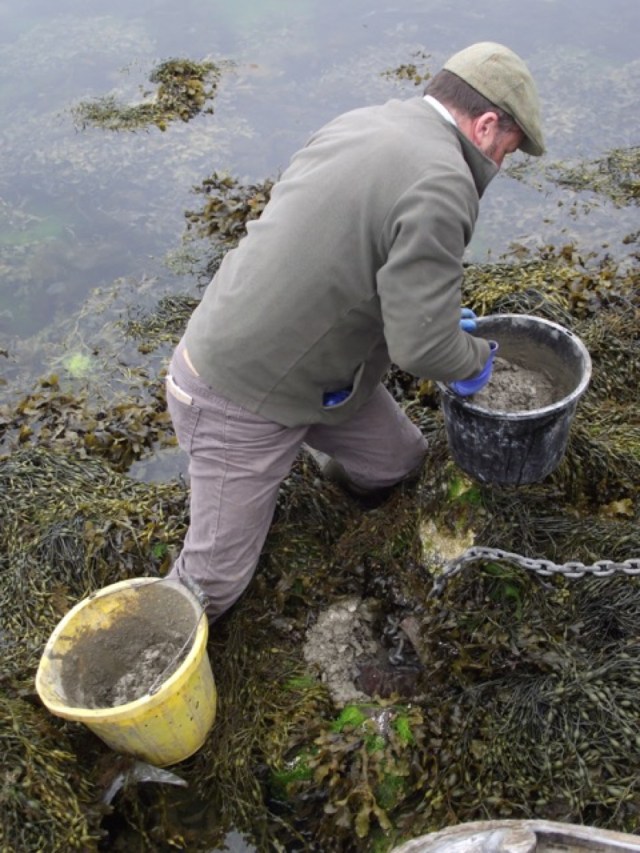 Setting Up the Reef Warning