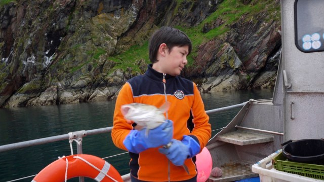 A Cod For Cod's Sake