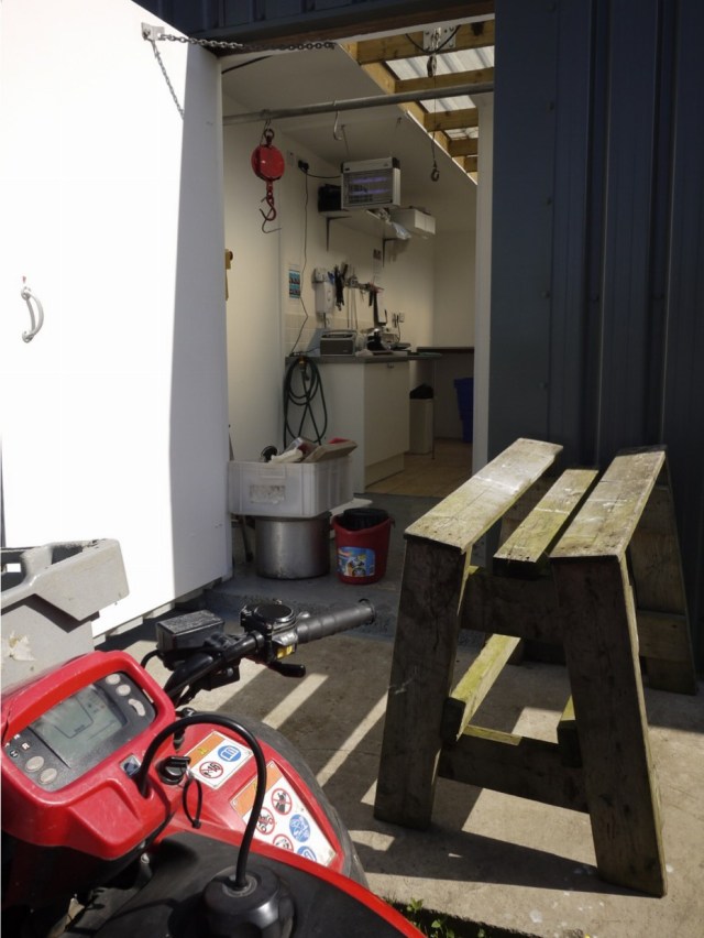 Really Back To Normal