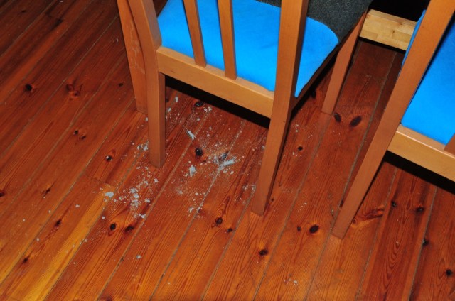 The Remains of Johneen's sole.