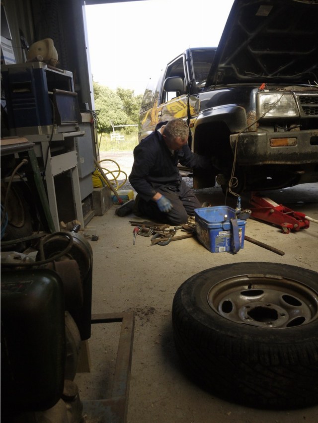 Should Have Been Stalking