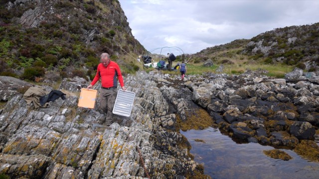 Everything but the Kitchen Sink