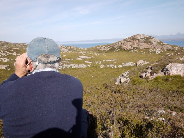 Spying, Enjoying The View.