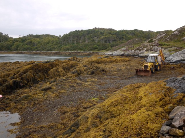 Waiting For The Ferry