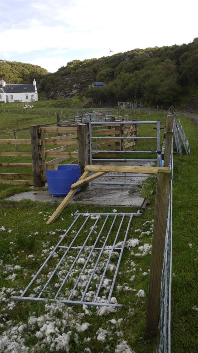 I did not think kit was that windy.....